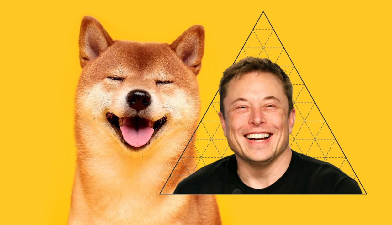 Kontroversi Skim Piramid Dogecoin Elon Musk Capai Klimaks!