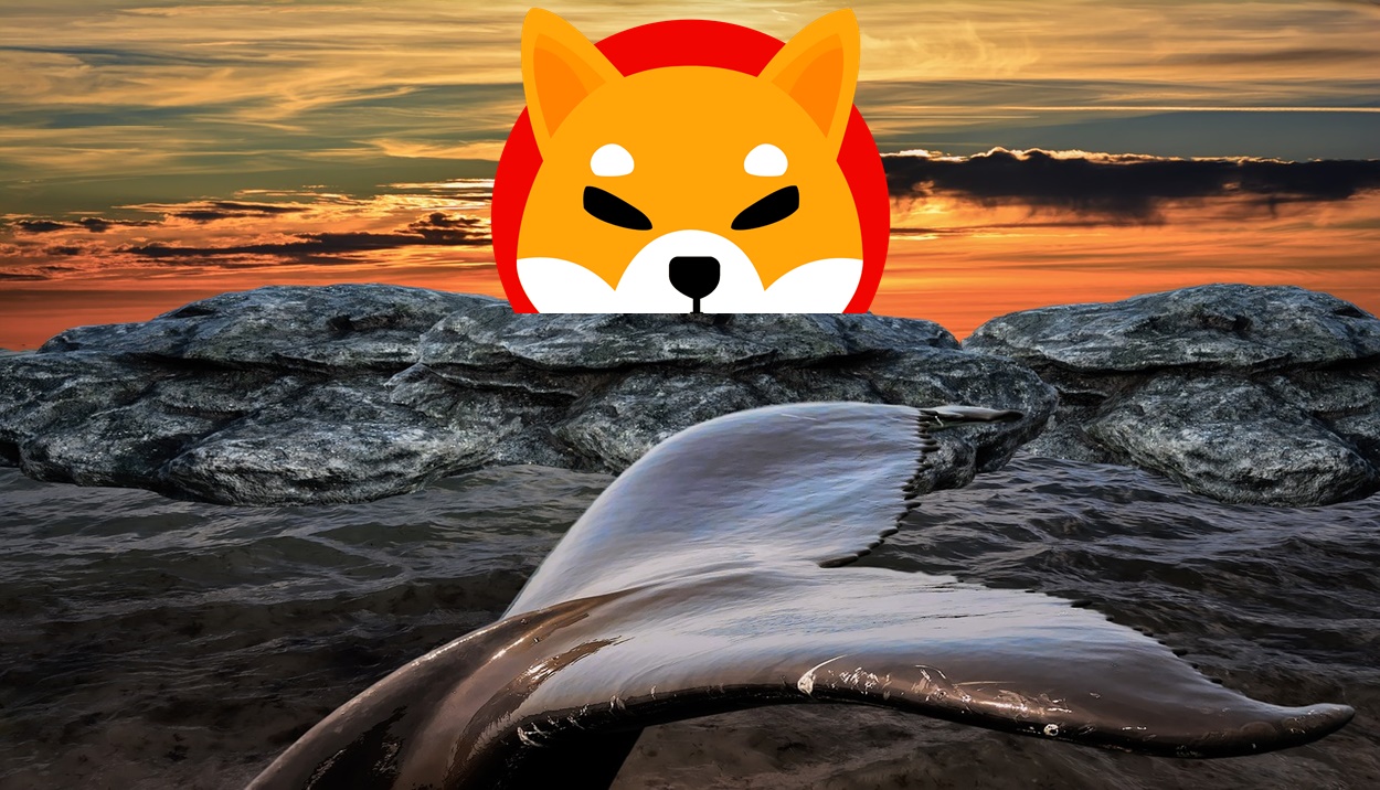 Whales Tetap Berselera Walaupun Shiba Inu Masih Berdarah
