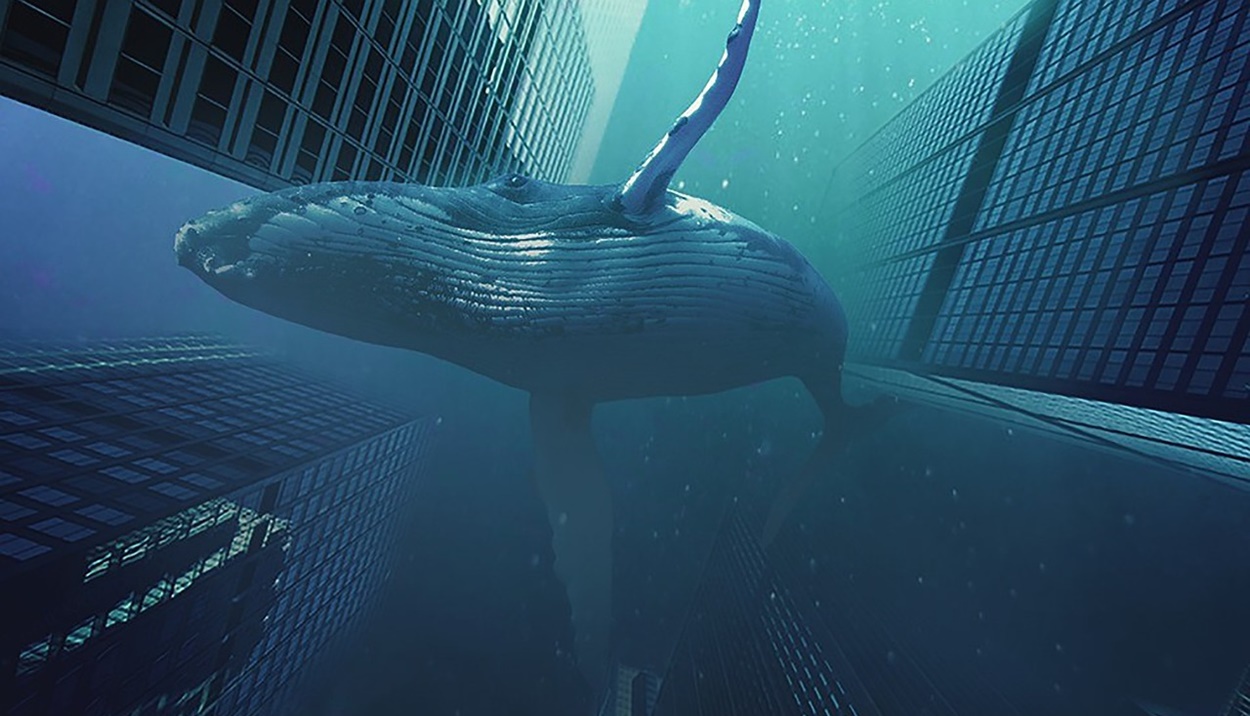 4 Whales Gergasi Beli Berjuta Token Kripto Ini!