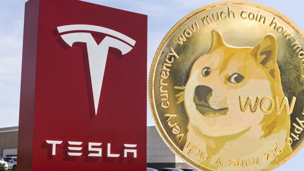 Woof Woof! Dogecoin Merana Lagi Disebabkan Elon Musk!