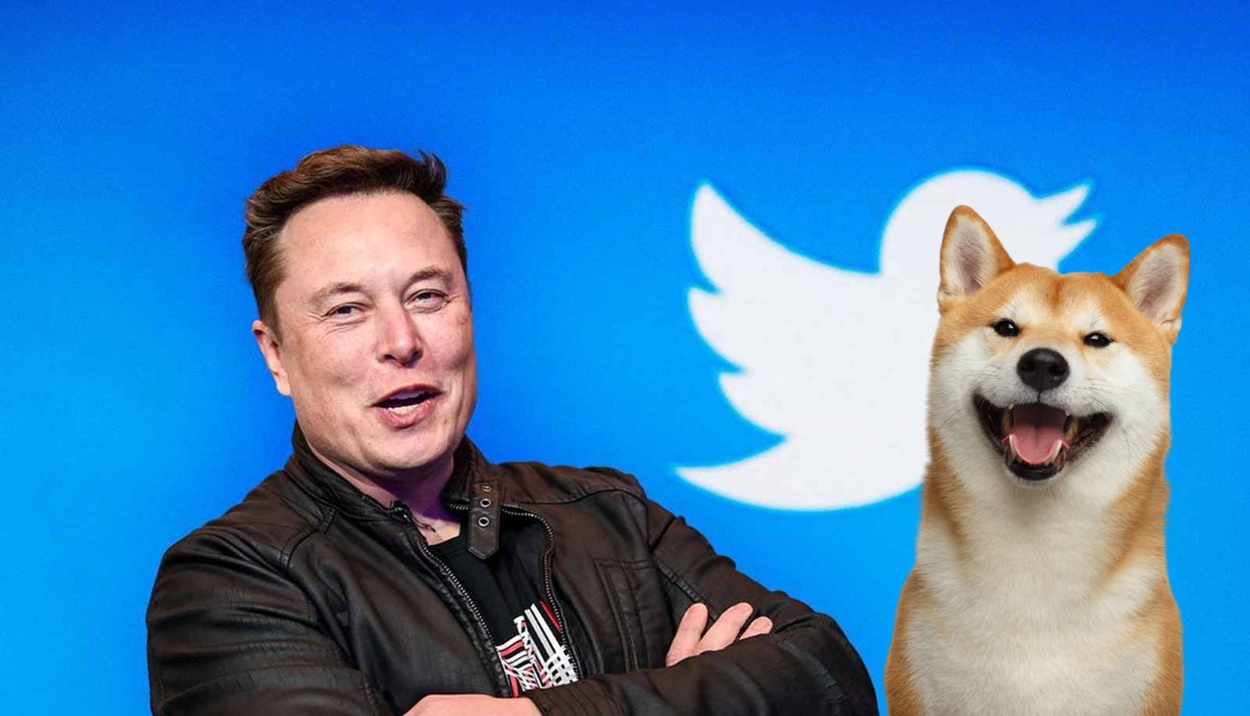 Elon Musk Lantik Anjing Peliharaan Jadi CEO Twitter!