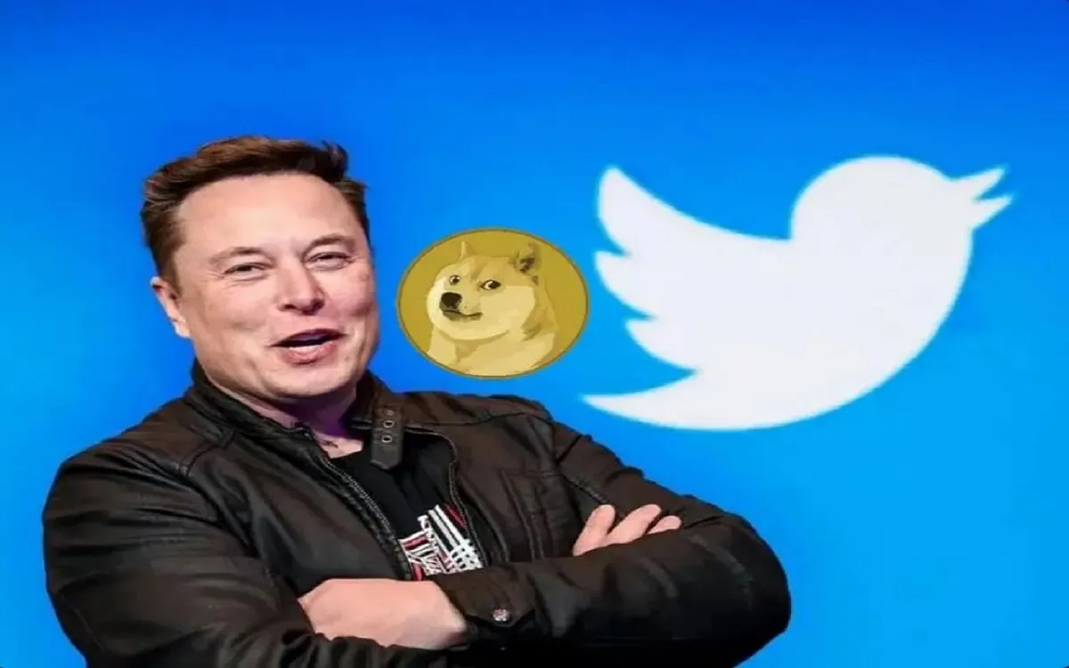 DOGE Tersakiti! Elon Musk Kembalikan Burung Biru Di Twitter