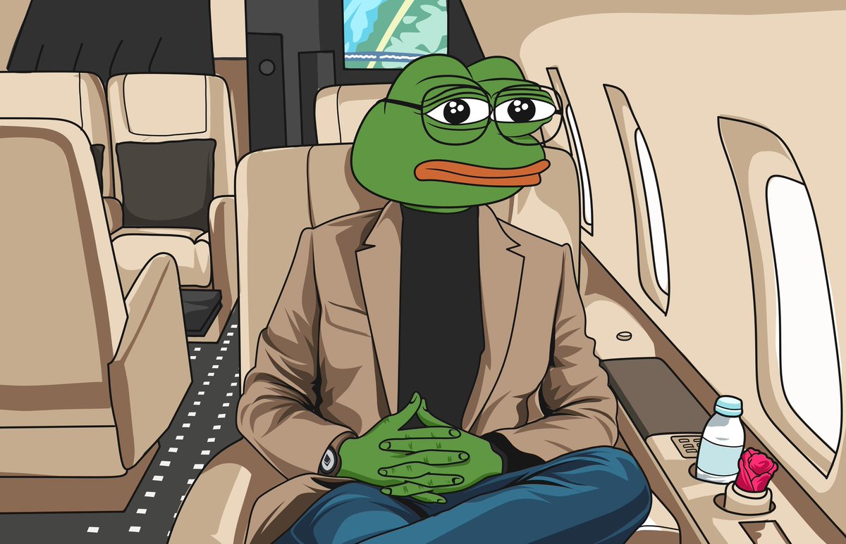 Hanya Bermodalkan $250, Pemegang PEPE Untung $1 Juta Tetapi…