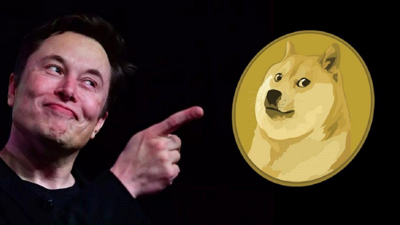 Anda berminat? Elon Musk Nak Bagi 1 Juta DOGE Tapi Ada Syaratnya!