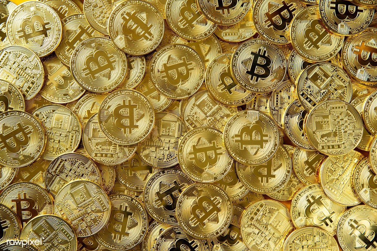 Pedagang Kripto Ini Sanggup Jual Semua Altcoins Untuk Beli BTC!