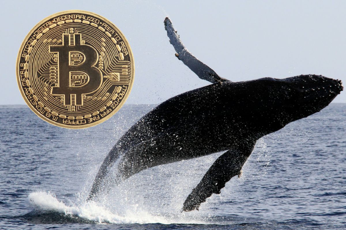 Whales BTC Bangun Daripada Tidur, Harga Bakal ‘Lemas’ Lagi?