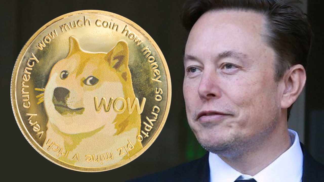 Elon Musk Beri Amaran Jangan ‘All-In’ Pada DOGE!