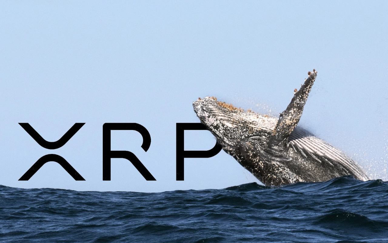 Tak Minat HODL Lama-Lama, Whales Jual 100 Juta XRP!