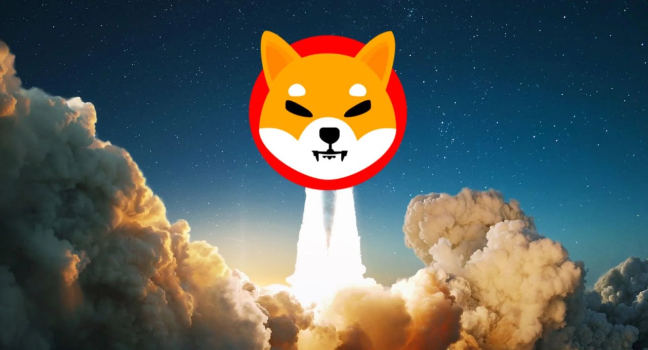 Jangan Terkejut! Pelabur Ini Bersara Lepas SHIB Meroket 700,000%!