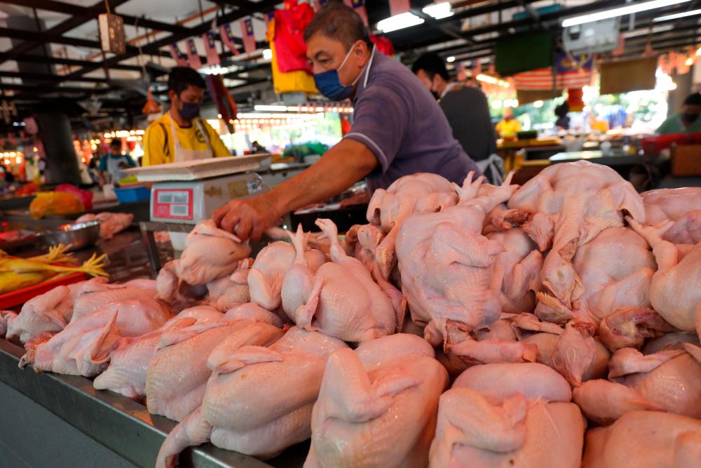 Kerajaan Tamatkan Subsidi Ayam Bermula 1 November – Mohamad Sabu