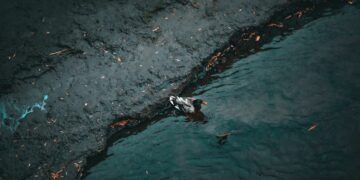 Insiden MT Terra Nova Karam, Tumpahan Minyak Cemar Perairan Filipina