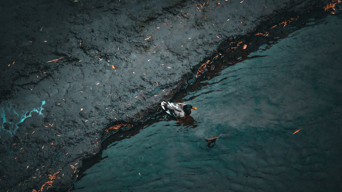 Insiden MT Terra Nova Karam, Tumpahan Minyak Cemar Perairan Filipina