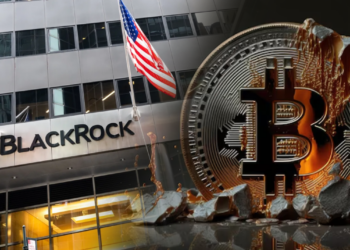 Blackrock Beri Isyarat Buruk Pasaran Kripto, Harga Bitcoin Mampu Jatuh 50%?