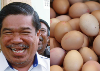 Lepas Subsidi Ayam Ditarik, Kini Giliran Telur Ayam Pula?