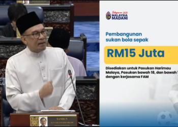 Bajet 2025 : RM15 Juta Untuk Harimau Malaya