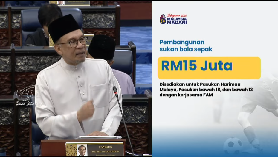 Bajet 2025 : RM15 Juta Untuk Harimau Malaya