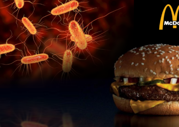 Ada E. Coli Dalam Quarter Pounder McDonald’s?