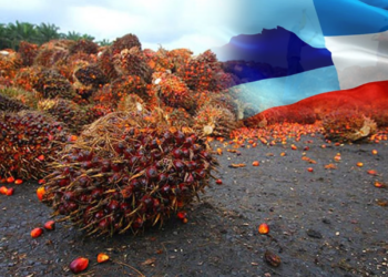 Sabah ‘Top Producer’ Minyak Sawit Di Malaysia, Hasilkan 4.5 Juta Tan Pada 2023!
