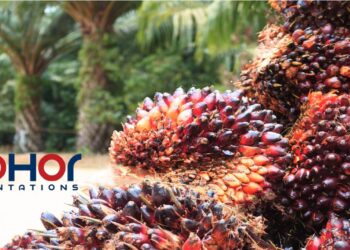 Untung Bersih Suku Ke-3 Johor Plantations Meningkat 13%