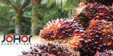 Untung Bersih Suku Ke-3 Johor Plantations Meningkat 13%