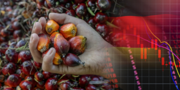 Bekalan Minyak Sawit Malaysia Merosot, Harga Capai Paras Tertinggi 2 Tahun!