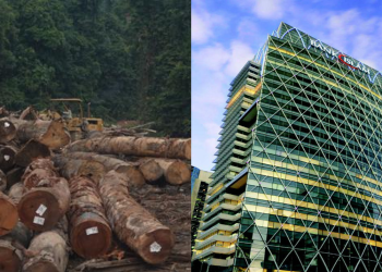 Bank Islam ‘Buang’ RM52 juta Untuk Ladang Kelapa Sawit Rosak?