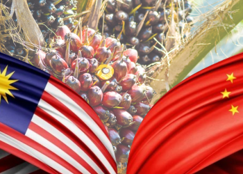 Malaysia Tarik Pelaburan China untuk Revolusi Minyak Sawit