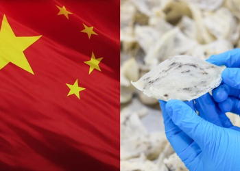 MYMBN Hadapi Kerugian RM2.5 Juta Susulan Penggantungan Eksport Sarang Burung Ke China