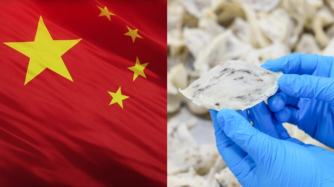 MYMBN Hadapi Kerugian RM2.5 Juta Susulan Penggantungan Eksport Sarang Burung Ke China