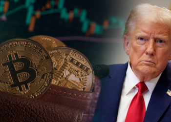 Bitcoin Tersentak Selepas Perintah Eksekutif Trump, Pelabur Kripto Kecewa