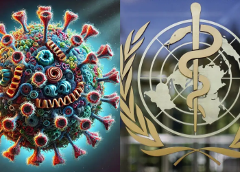 Jangan risau! HMPV di China Bukan Satu Ancaman – WHO