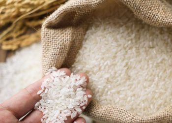 Kerajaan Kekalkan Harga Beras RM2.60/KG