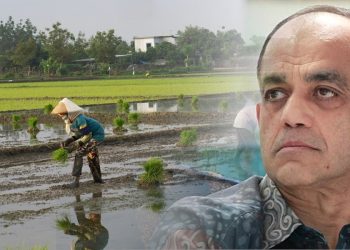 Kerajaan Naikkan Harga Minimum Padi, Jutawan Syed Mokhtar Sumbang RM30 Juta Untuk Pesawah