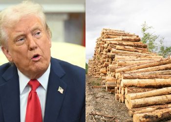 Kayu Balak Pula Jadi Sasaran Tarif Oleh Trump?