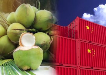 Malaysia Bakal Eksport Kelapa Segar Ke China Selepas Meterai MoU