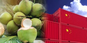 Malaysia Bakal Eksport Kelapa Segar Ke China Selepas Meterai MoU