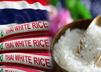 Thailand Hadapi Penurunan Eksport Beras 2025 – Apa Puncanya?