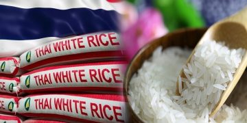 Thailand Hadapi Penurunan Eksport Beras 2025 – Apa Puncanya?