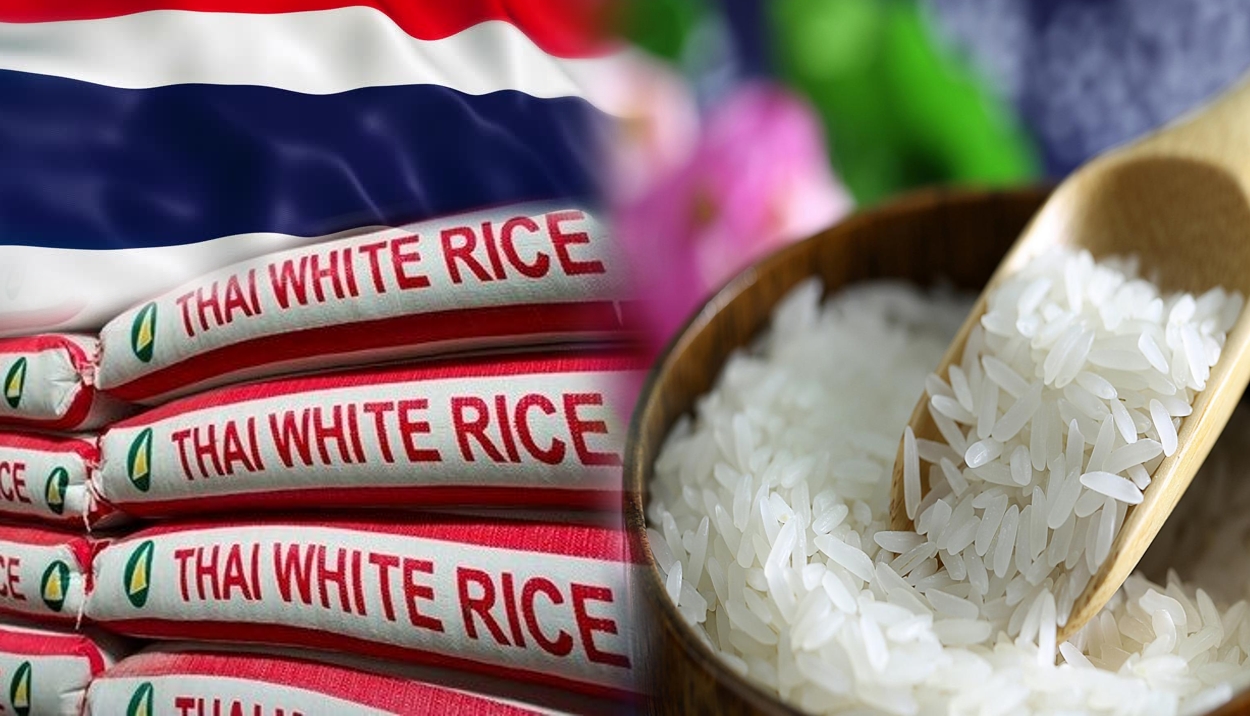 Thailand Hadapi Penurunan Eksport Beras 2025 – Apa Puncanya?