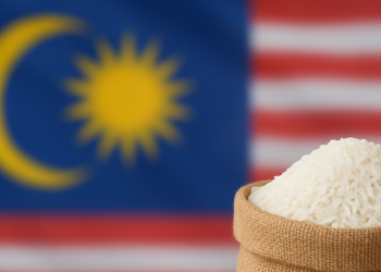 Harga Beras Putih Import Turun RM2,600 Per Tan Metrik – Inisiatif Bernas Bantu Rakyat