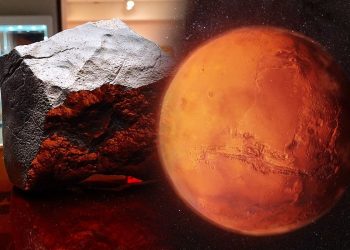 Batu Marikh Gergasi Terjual Pada Harga Lebih RM18 Juta!