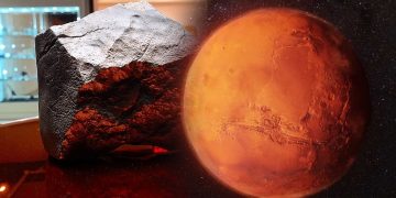 Batu Marikh Gergasi Terjual Pada Harga Lebih RM18 Juta!