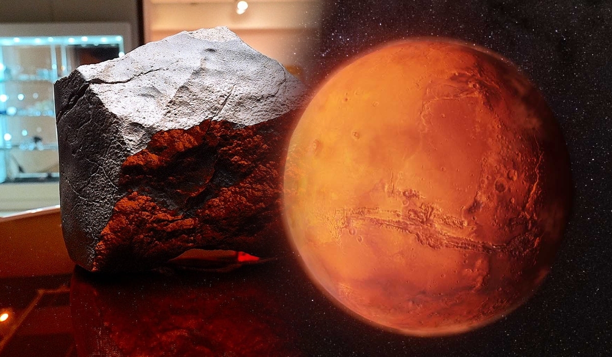 Batu Marikh Gergasi Terjual Pada Harga Lebih RM18 Juta!