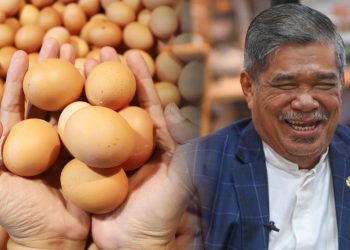 Lepas Potong Subsidi Telur, Mat Sabu Dedah Rahsia “Telur Lebih Murah, Duit Lebih Banyak”