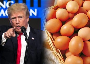 Trump Saman California Sebab Harga Telur Naik!