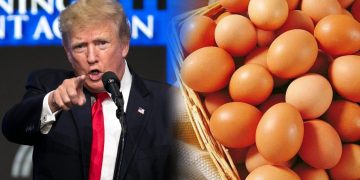 Trump Saman California Sebab Harga Telur Naik!