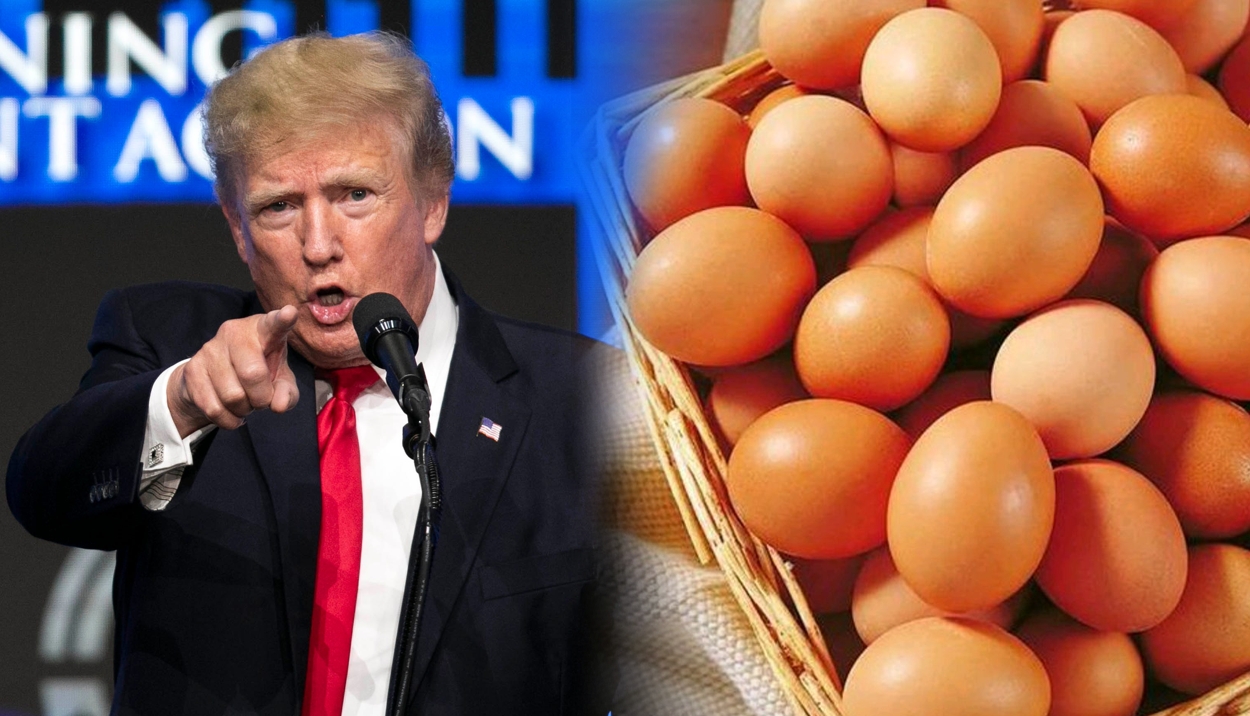 Trump Saman California Sebab Harga Telur Naik!