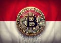 Indonesia Rancang Jadikan Bitcoin Sebagai Rizab Negara!