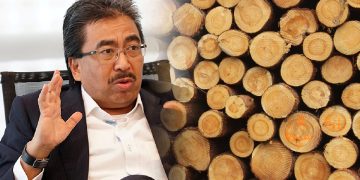 Kerajaan Larang Eksport Kayu Balak – Johari Ghani
