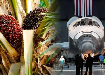 AS Bakal Kecualikan Tarif Minyak Sawit & Aeroangkasa Malaysia